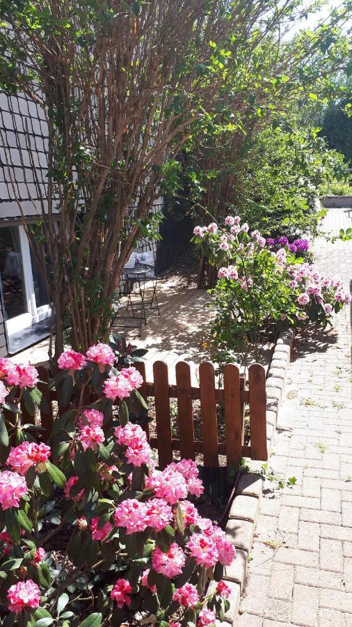 Ferienwohnung 43Qm Torf 10 Naehe Moehnesee Warstein Exteriör bild